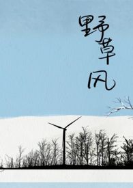 野草风景视频高清观看